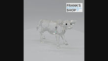 Laden und Abspielen von Videos im Galerie-Viewer, SWAROVSKI Kalb 905776 oU

