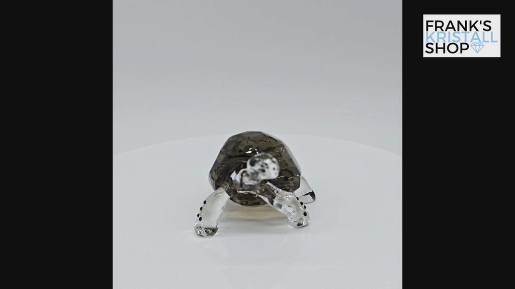 Swarovski SCS Jahresfigur 2010 Galapagos Schildkröte Event 995036