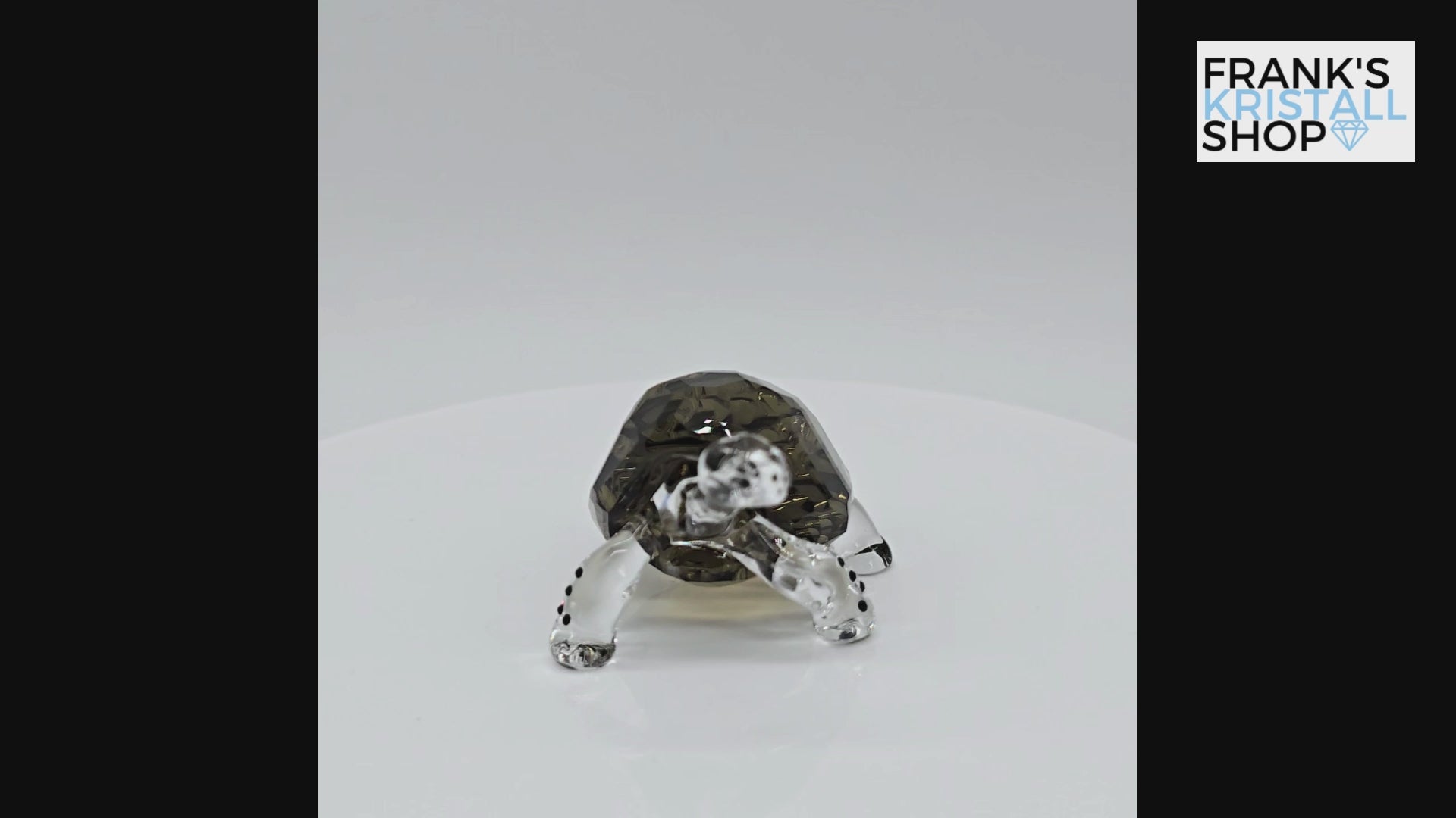 Swarovski SCS Jahresfigur 2010 Galapagos Schildkröte Event 995036