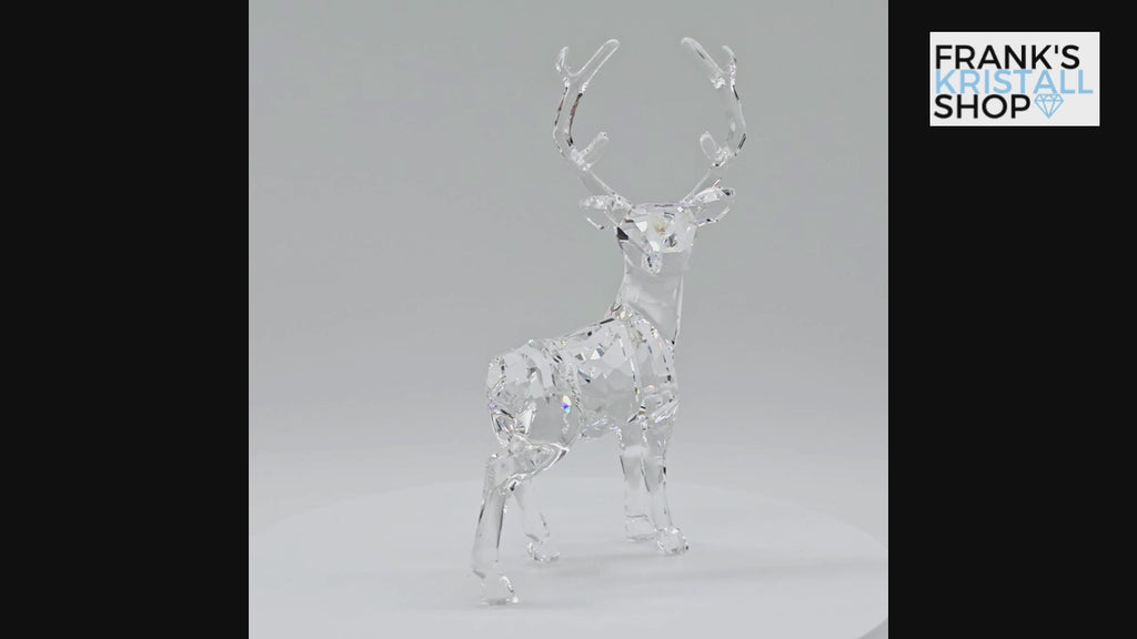 SWAROVSKI Winterhirsch 5135854