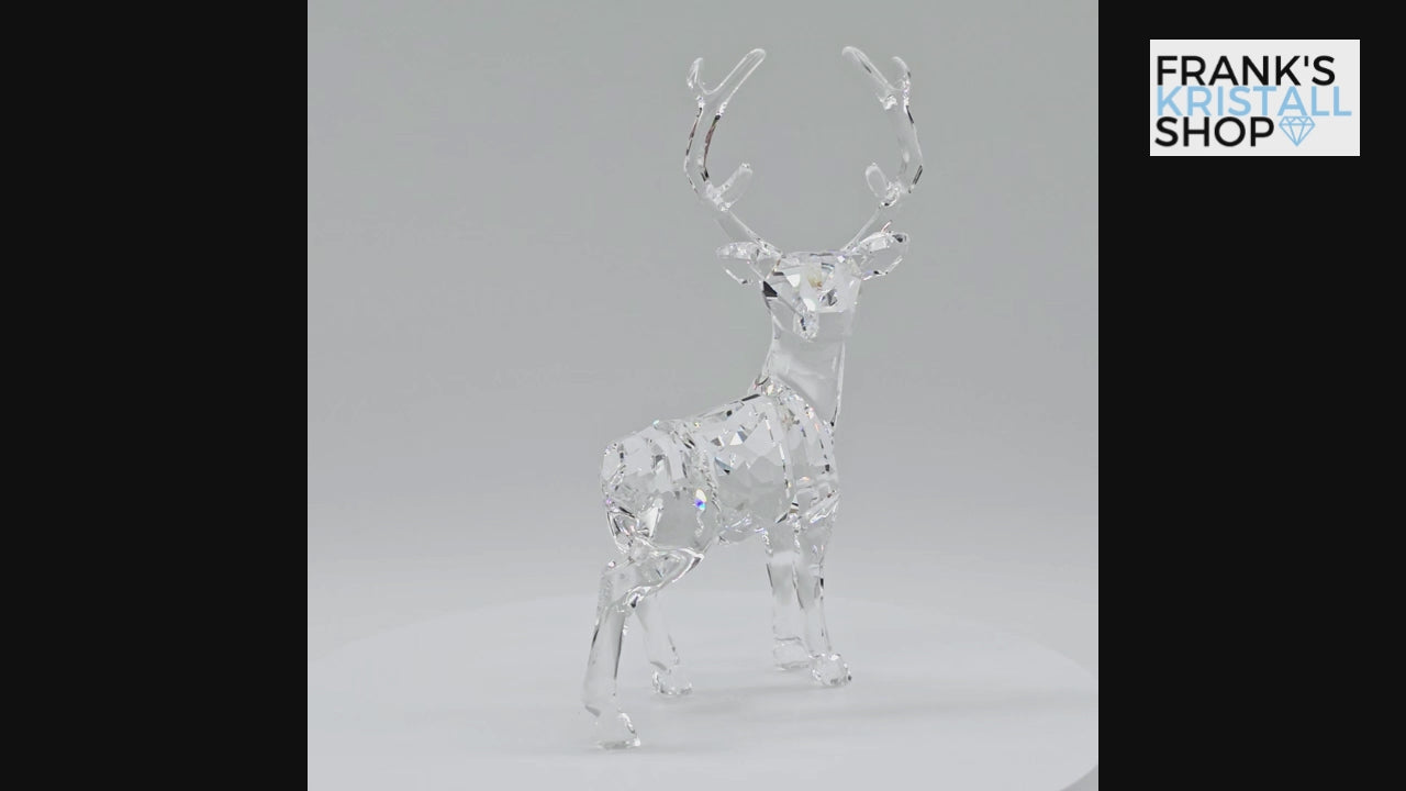 SWAROVSKI Winterhirsch 5135854
