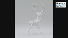 Laden und Abspielen von Videos im Galerie-Viewer, SWAROVSKI Winterhirsch 5135854
