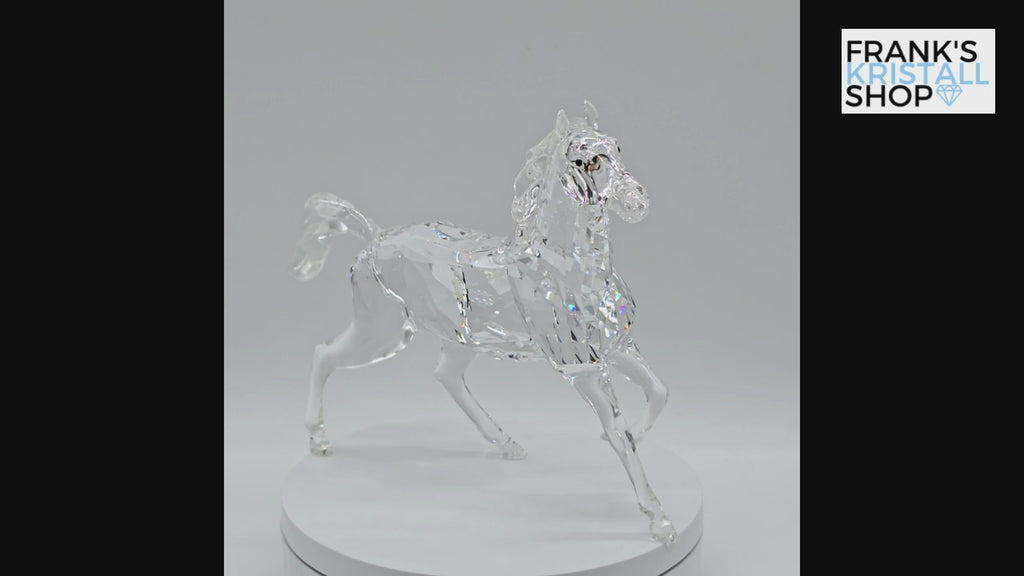 SWAROVSKI Hengst 898508