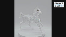 Laden und Abspielen von Videos im Galerie-Viewer, SWAROVSKI Hengst 898508 oU
