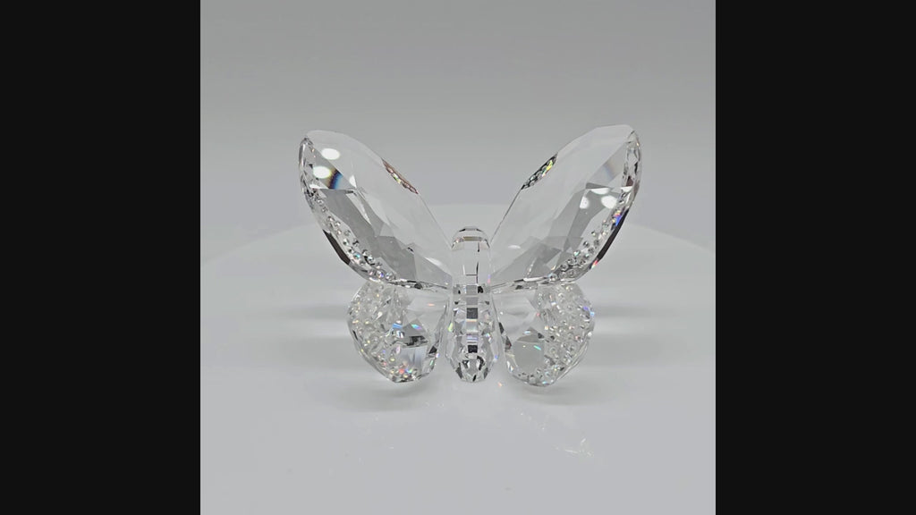 SWAROVSKI Paradise Schmetterling Brillant Klar 1043026