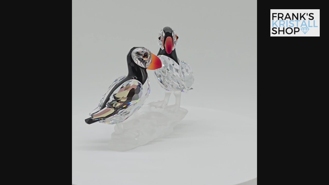 SWAROVSKI Papageientaucher 261643 Version 1