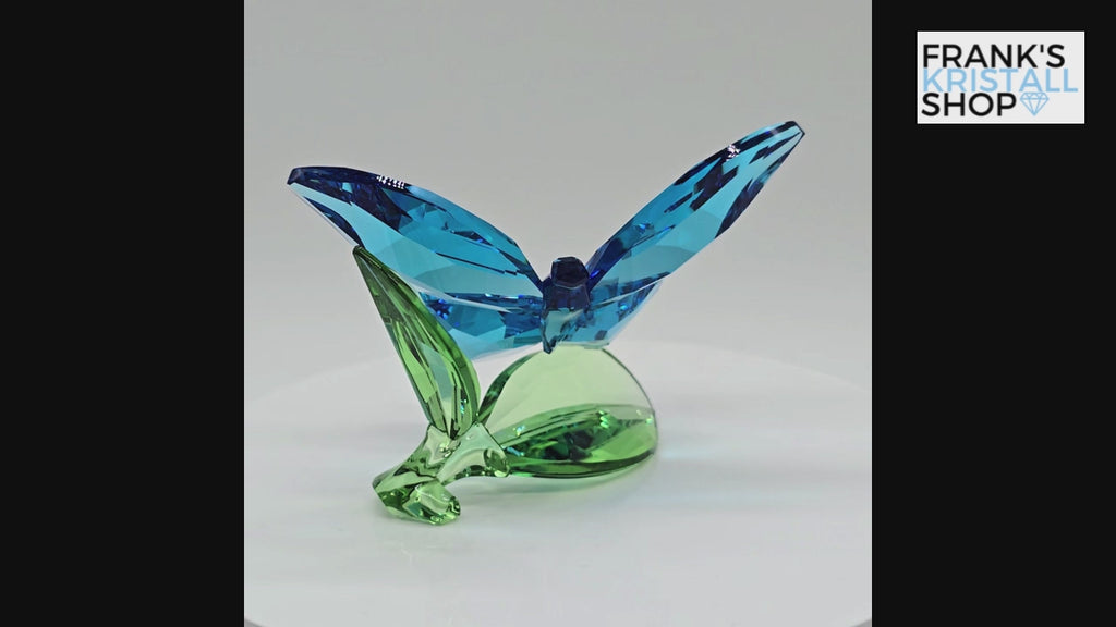 SWAROVSKI Crystal Paradise Schmetterling auf Blättern 5136834 oU