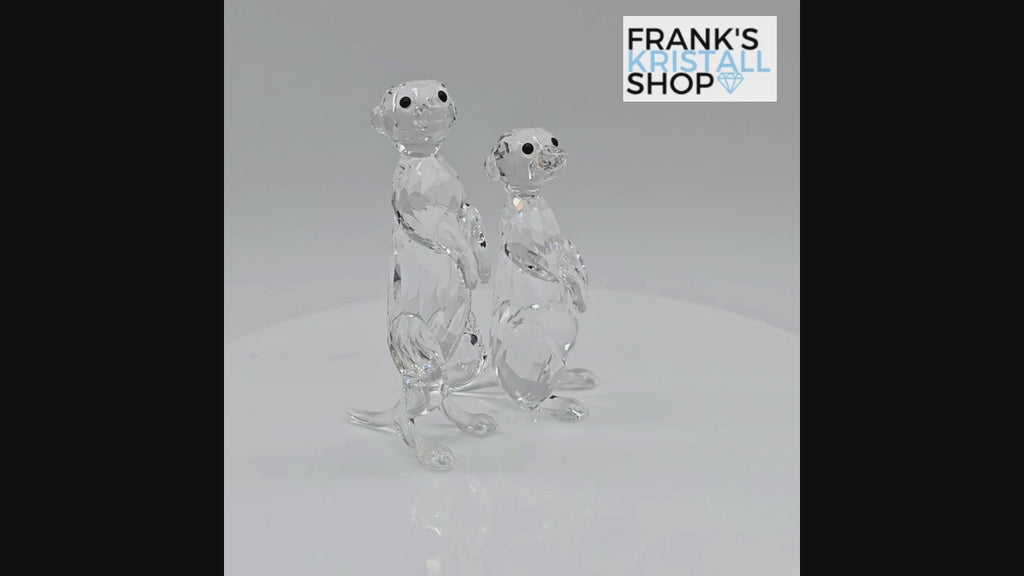 SWAROVSKI Erdmännchen 5135929