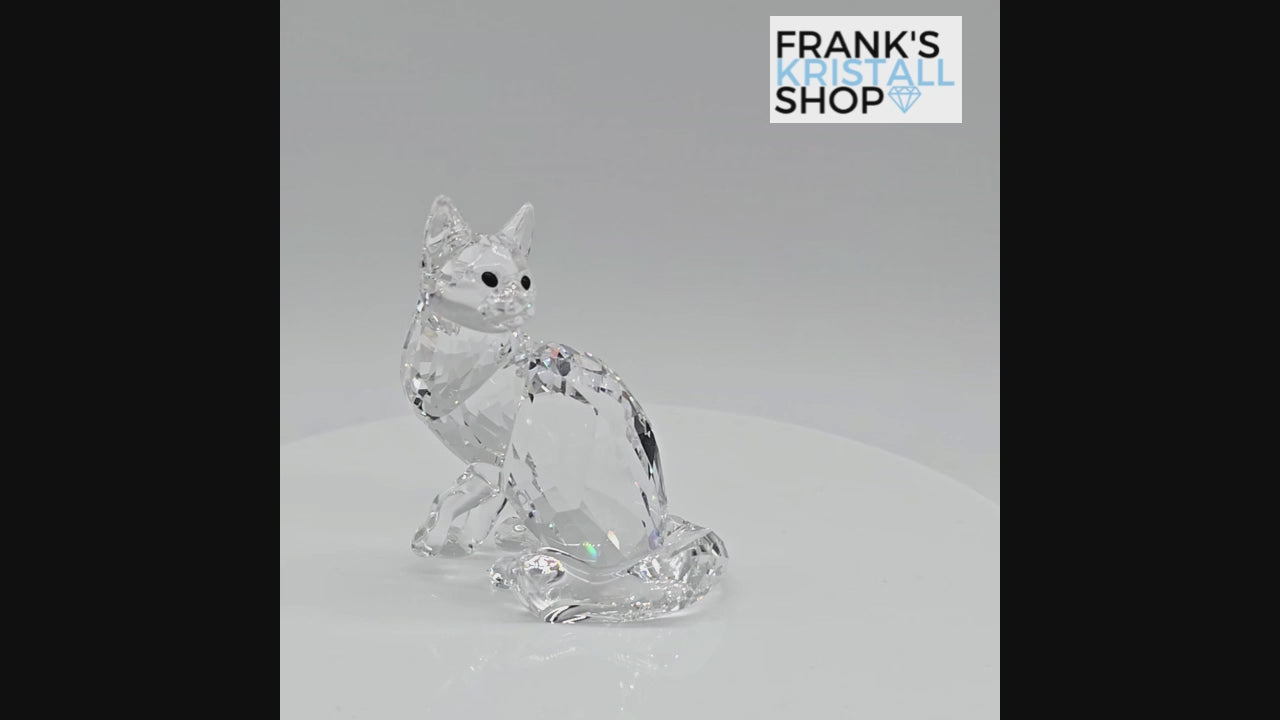 SWAROVSKI Maine Coon Katze 5135919 oU – Franks Kristall Shop
