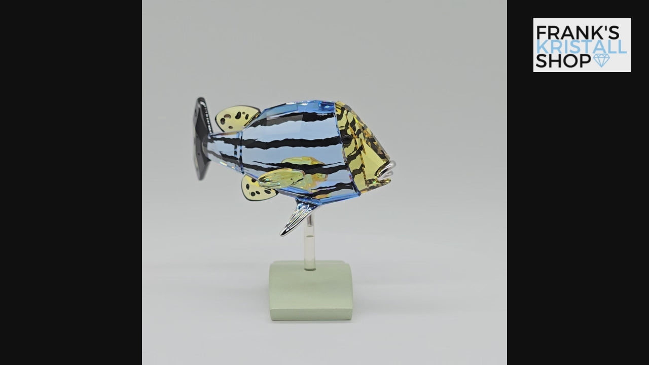 SWAROVSKI Paradise Fisch Catumbela 656974 oU