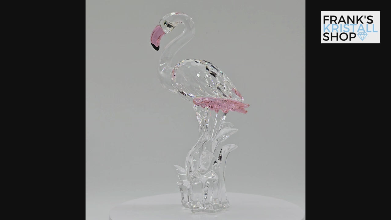 SWAROVSKI Flamingo 289733 oU