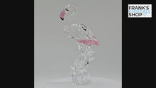 Laden und Abspielen von Videos im Galerie-Viewer, SWAROVSKI Flamingo 289733 oU
