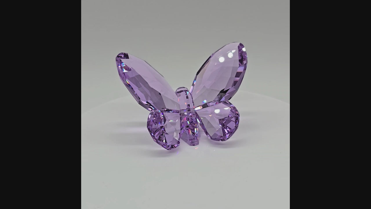 SWAROVSKI Paradise Schmetterling Violett 855803