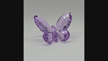 Laden und Abspielen von Videos im Galerie-Viewer, SWAROVSKI Paradise Schmetterling Violett 855803
