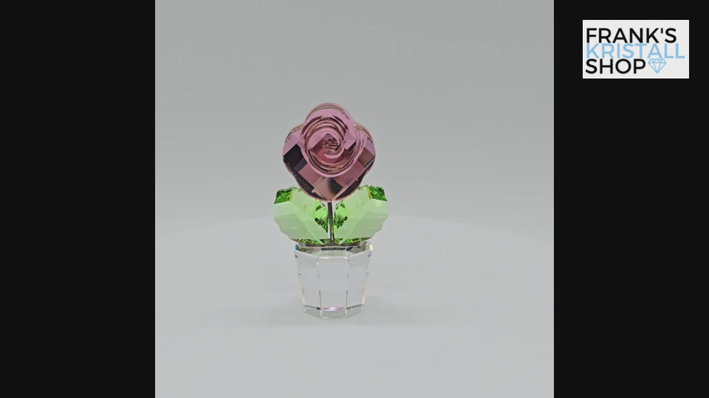 SWAROVSKI Blumenträume Rose Pink Rosa im Blumentopf 855894 oU