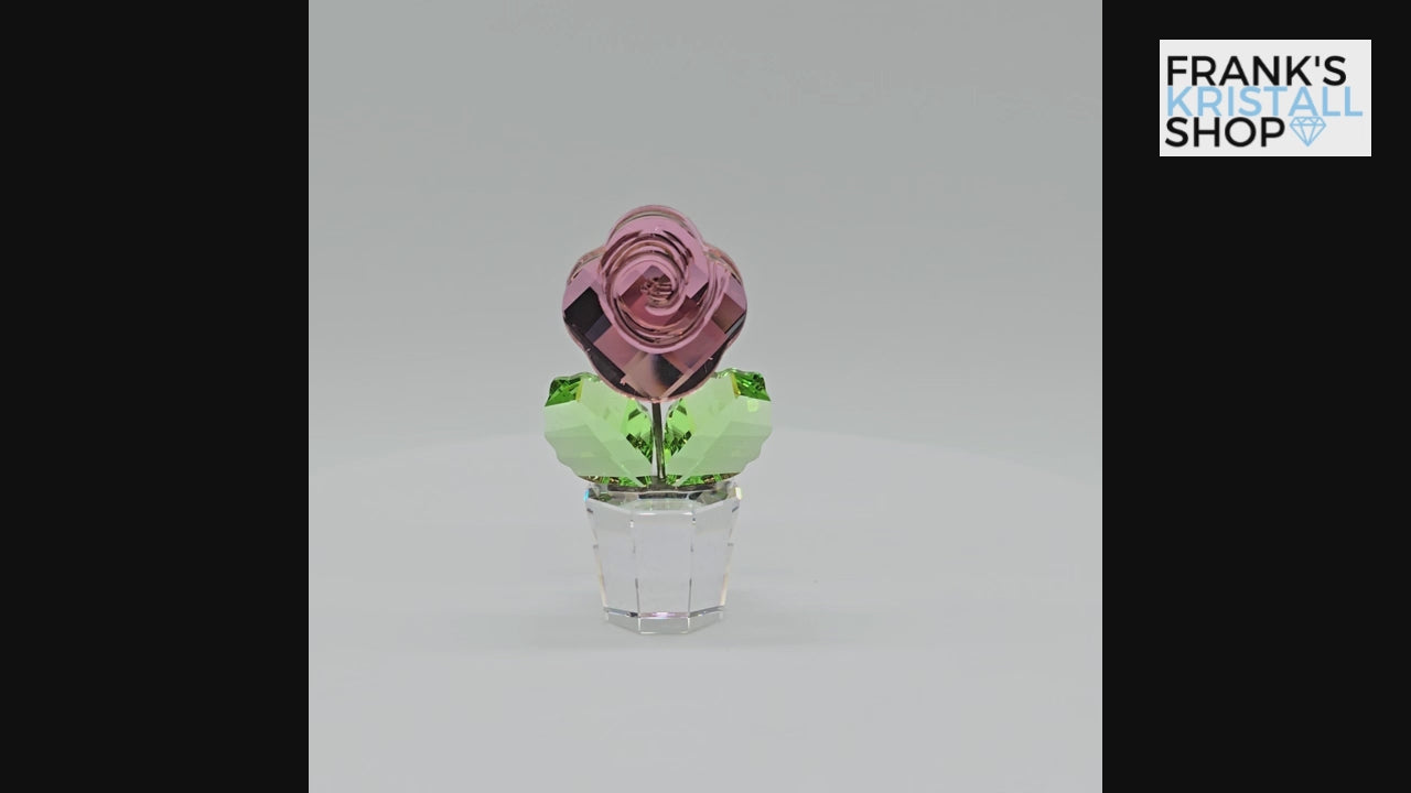 SWAROVSKI Blumenträume Rose Pink Rosa im Blumentopf 855894 oU