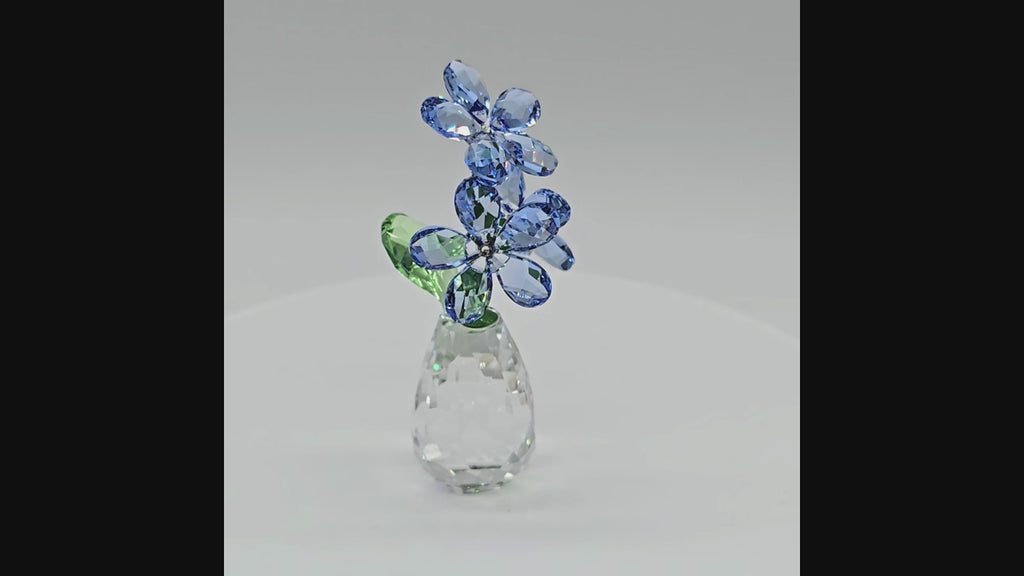 SWAROVSKI Blumenträume Vergissmeinnicht 5723646