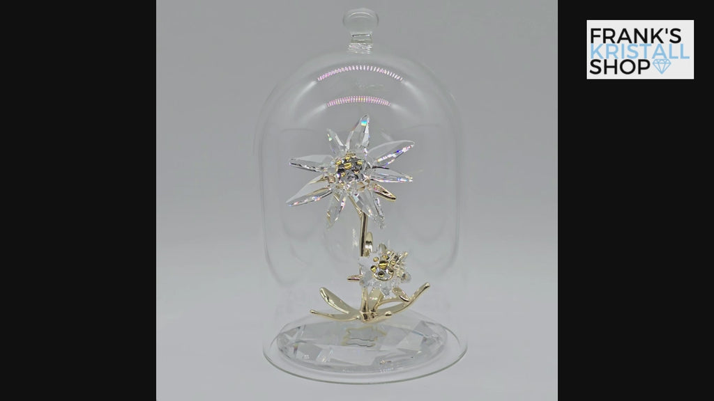 SWAROVSKI Florere Edelweiß Jubiläums Glasglocke 130 Jahre 5701376