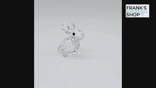 Laden und Abspielen von Videos im Galerie-Viewer, SWAROVSKI Baby Hase Häschen 5723652 (5135942)
