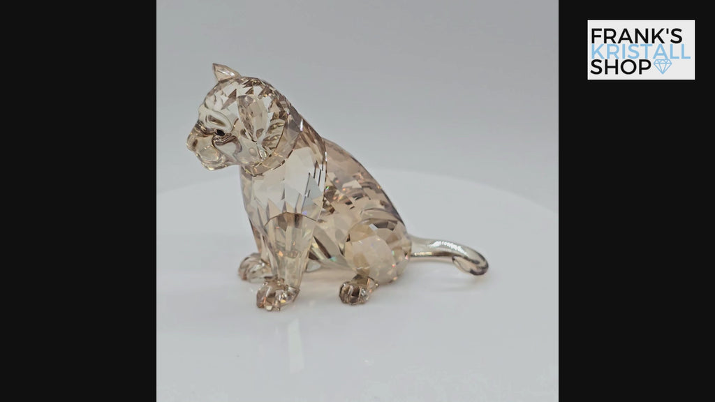 SWAROVSKI SCS Löwenbaby Akili 5135896 oU