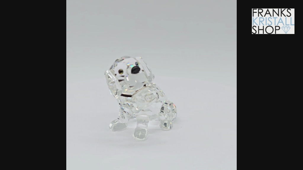SWAROVSKI Bernhardiner 201111