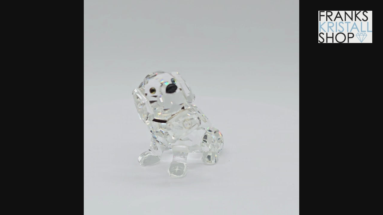SWAROVSKI Bernhardiner 201111