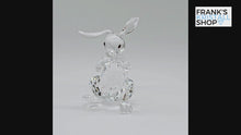 Laden und Abspielen von Videos im Galerie-Viewer, SWAROVSKI Winter Hase 5464878
