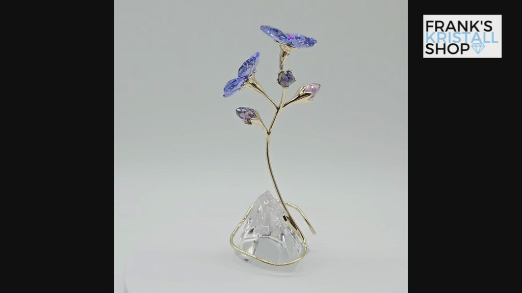 SWAROVSKI Blume Florere Rozanne Geranie Blumenträume 5693143