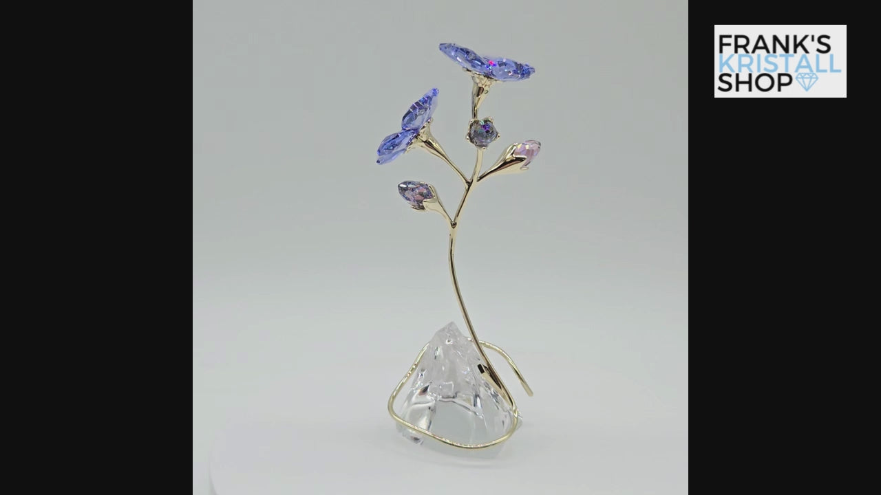 SWAROVSKI Blume Florere Rozanne Geranie Blumenträume 5693143