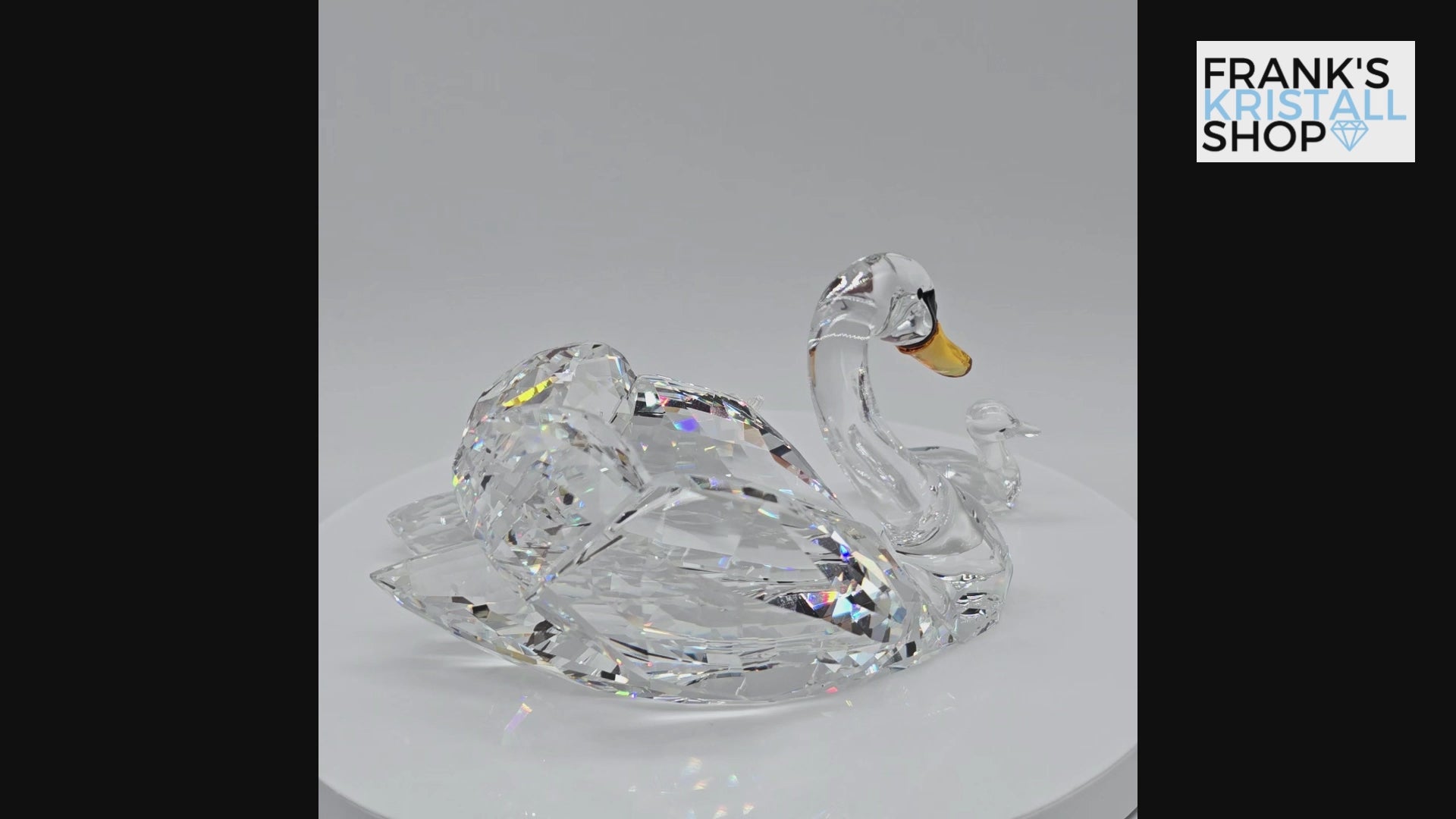 SWAROVSKI SCS Schwäne Jubiläumsausgabe 2017 5233542
