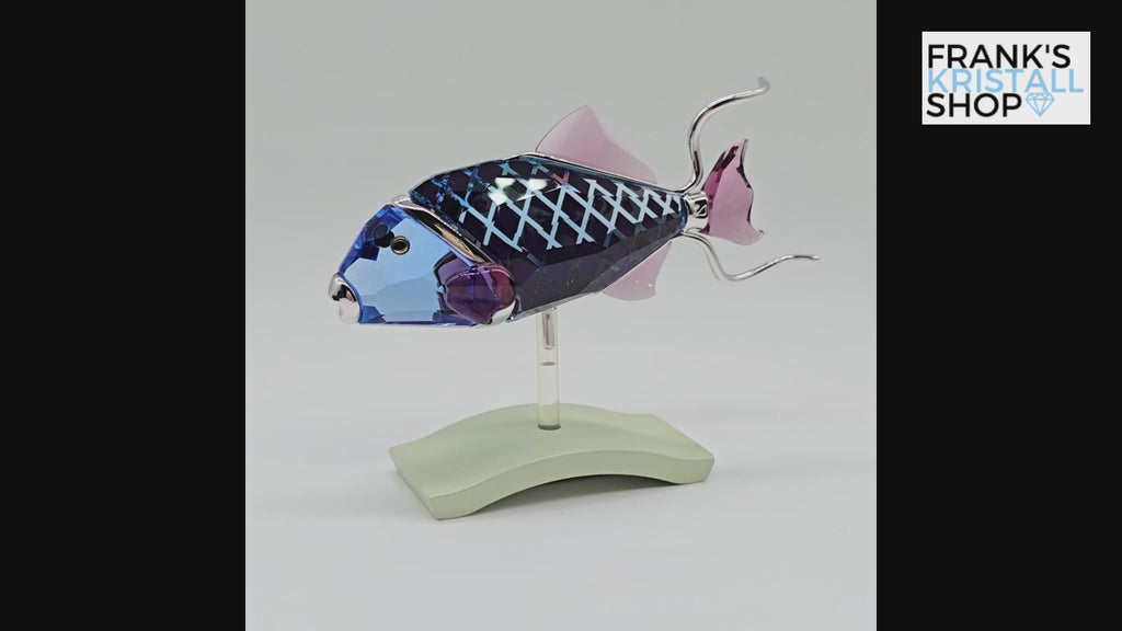 SWAROVSKI Paradise Fisch Coporita 626200 oU