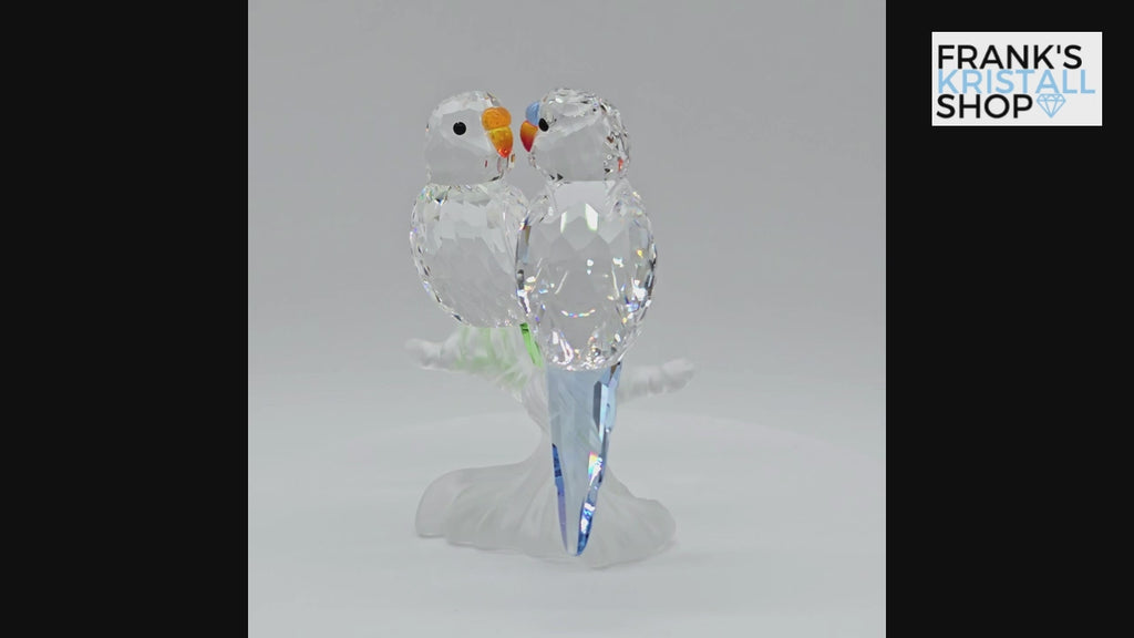 SWAROVSKI Wellensittiche Color 680627