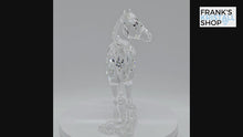 Laden und Abspielen von Videos im Galerie-Viewer, SWAROVSKI Stute 860864 oU
