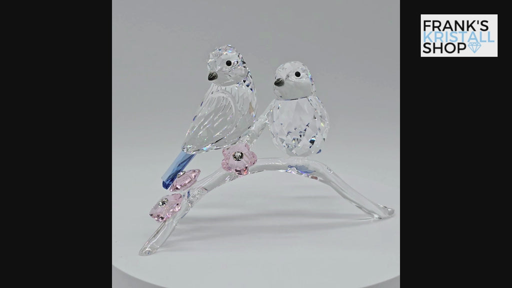 SWAROVSKI Blaumeisen 5004727 oU