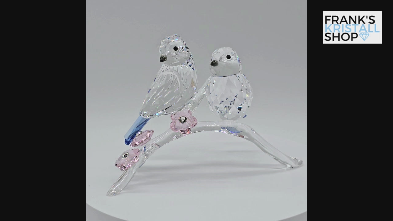 SWAROVSKI Blaumeisen 5004727 oU
