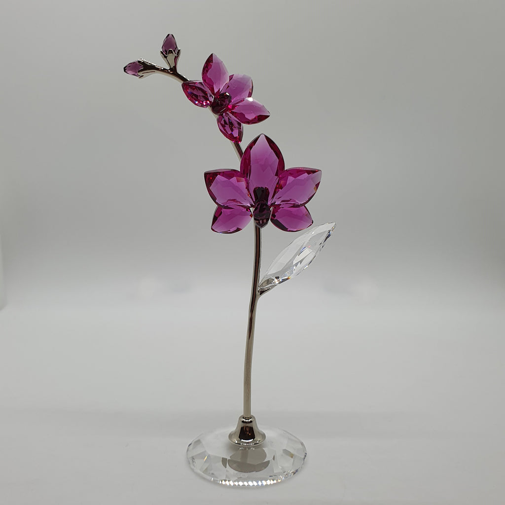 SWAROVSKI BLUMENTRÄUME | Orchidee groß