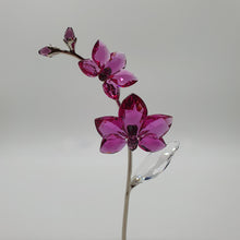 Lade das Bild in den Galerie-Viewer, SWAROVSKI BLUMENTRÄUME | Orchidee groß
