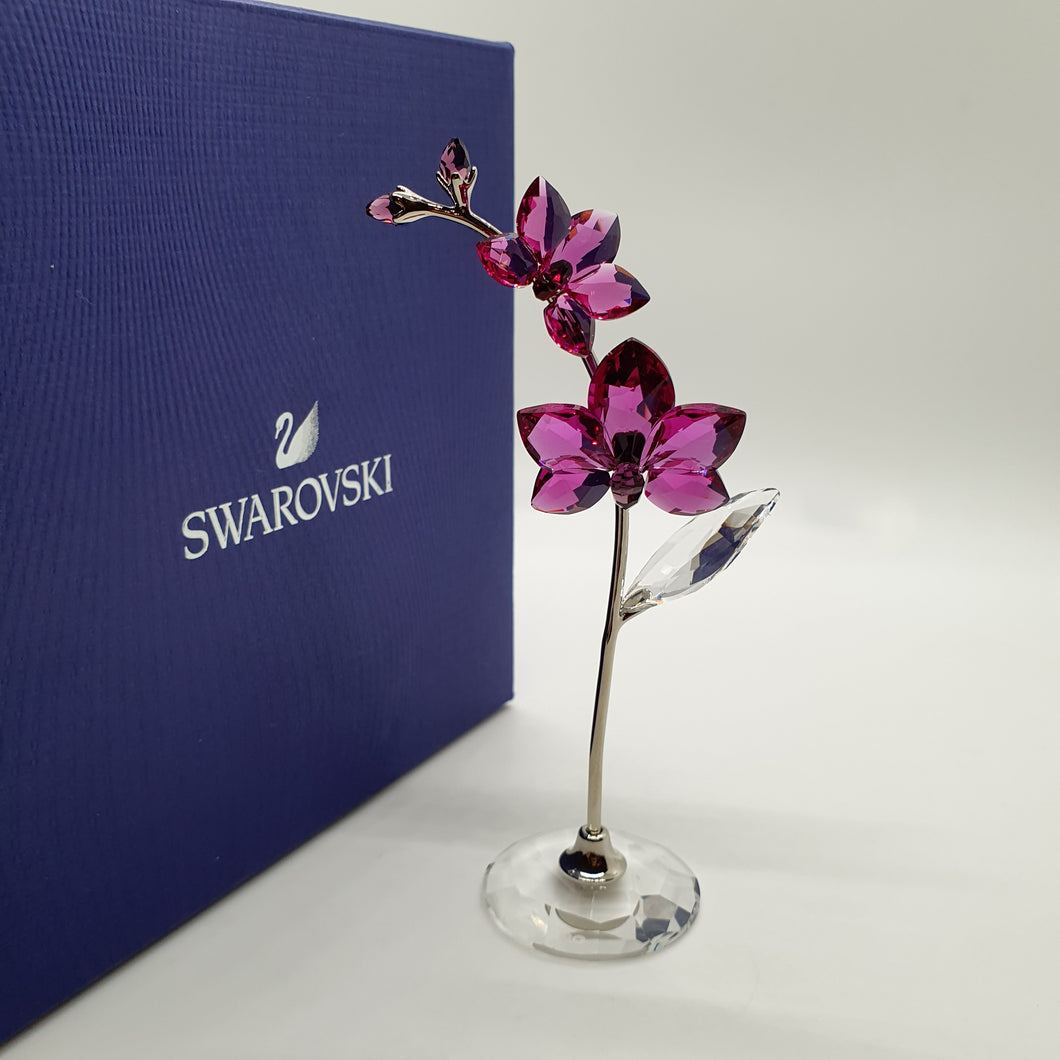 SWAROVSKI BLUMENTRÄUME | Orchidee groß