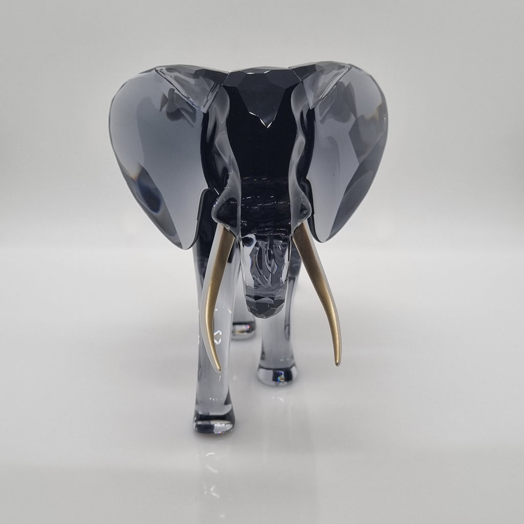 SWAROVSKI Elefantenbulle - Elegance of Africa 5611302