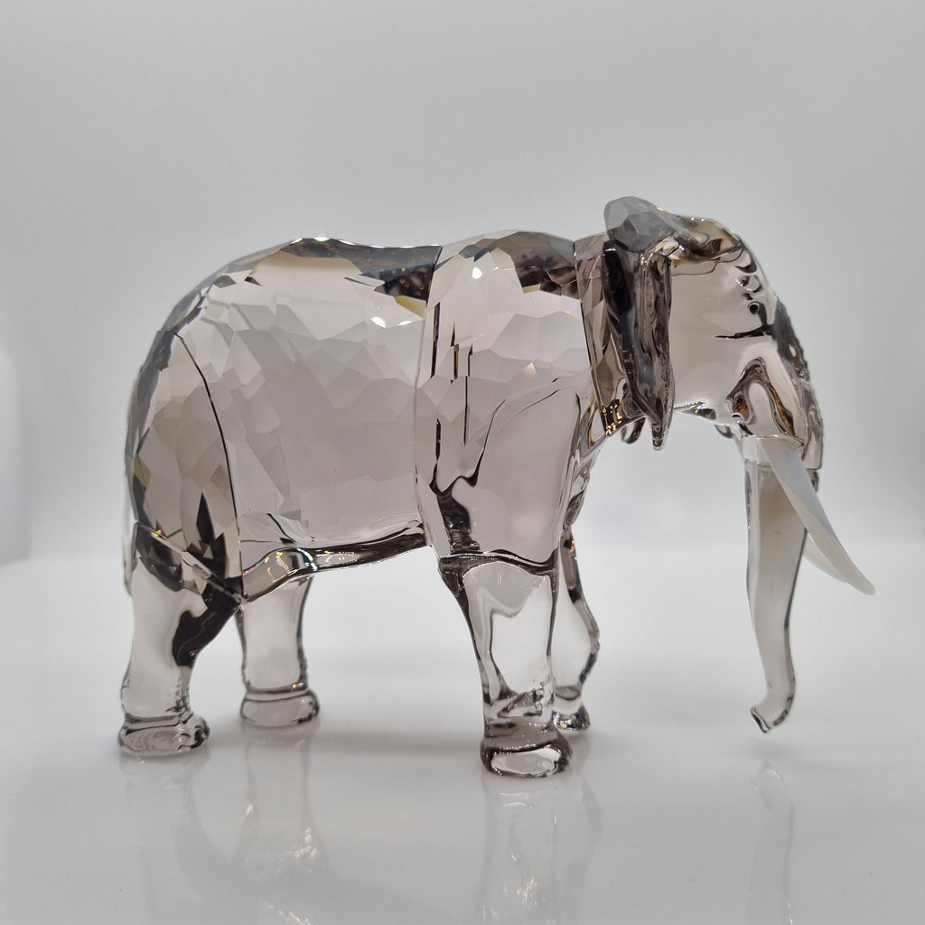 SWAROVSKI SCS Elefant Fayola 2022