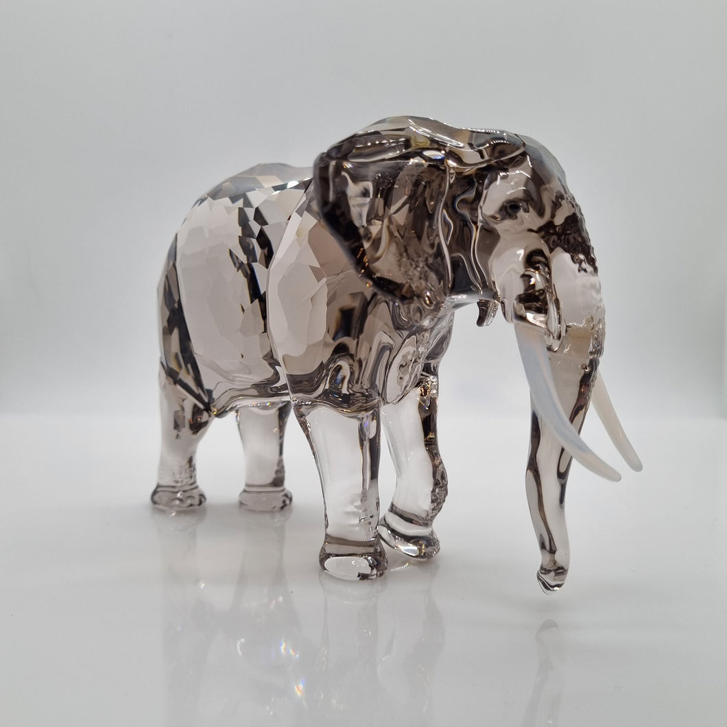 SWAROVSKI SCS Elefant Fayola 2022