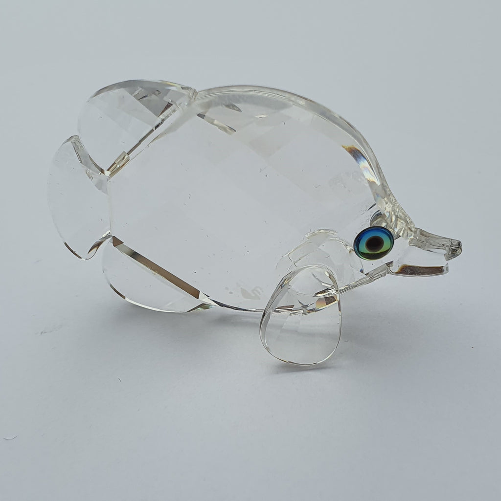 SWAROVSKI Falterfisch, Schmetterlingsfisch