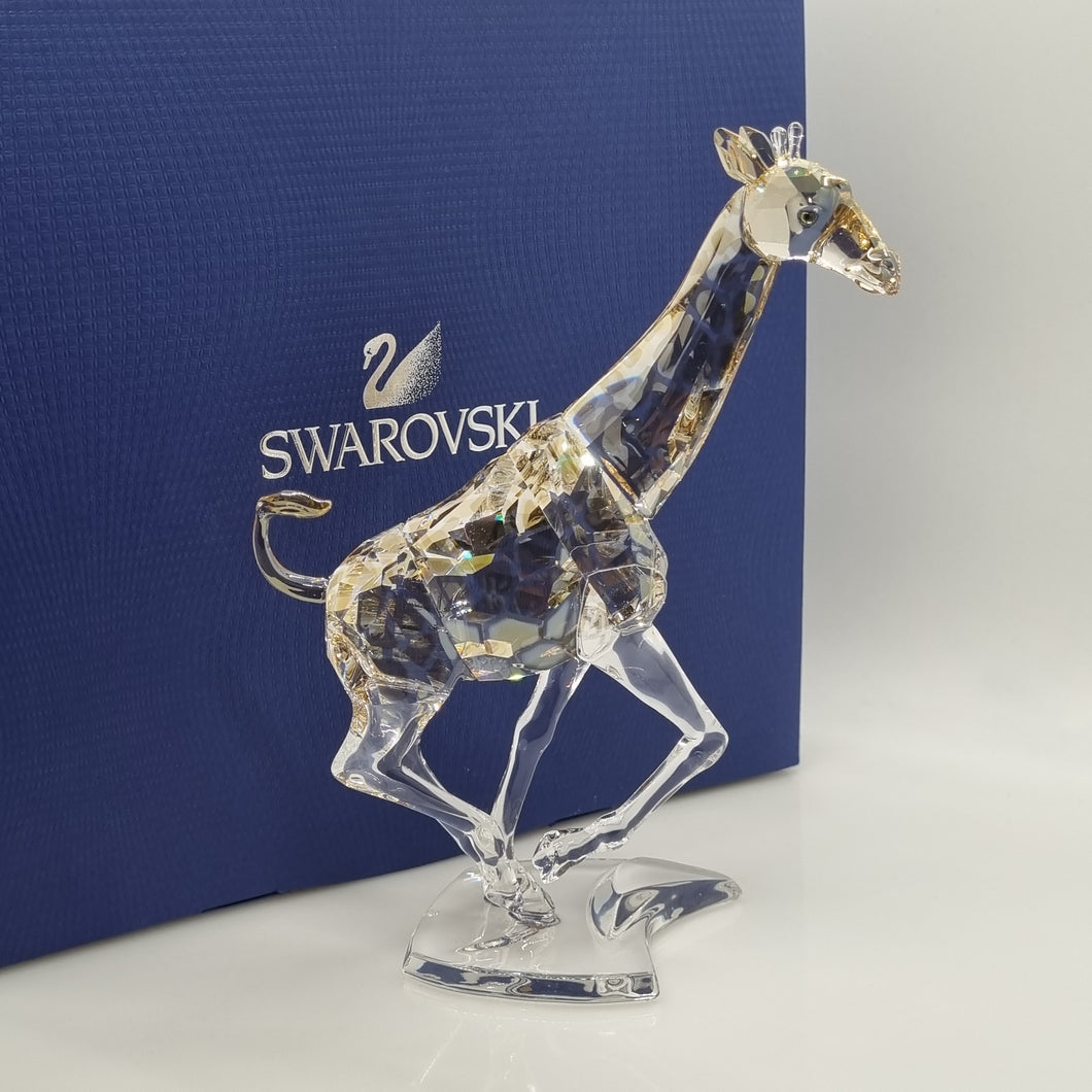 SWAROVSKI Giraffe 935896 oE
