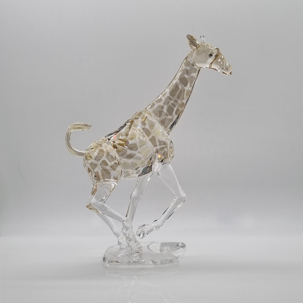SWAROVSKI Giraffe 935896 oE