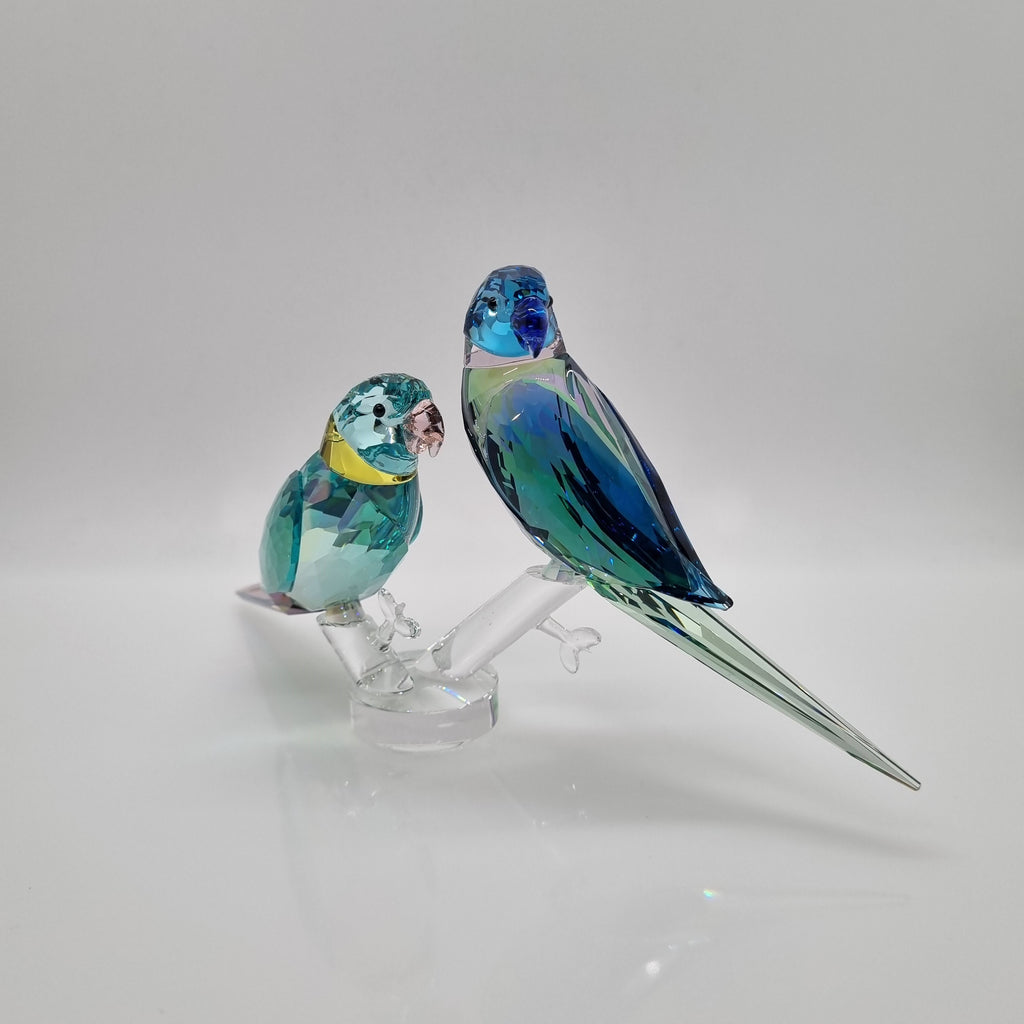 SWAROVSKI Jungle Beats Fife & Fifer Sittiche 5577124