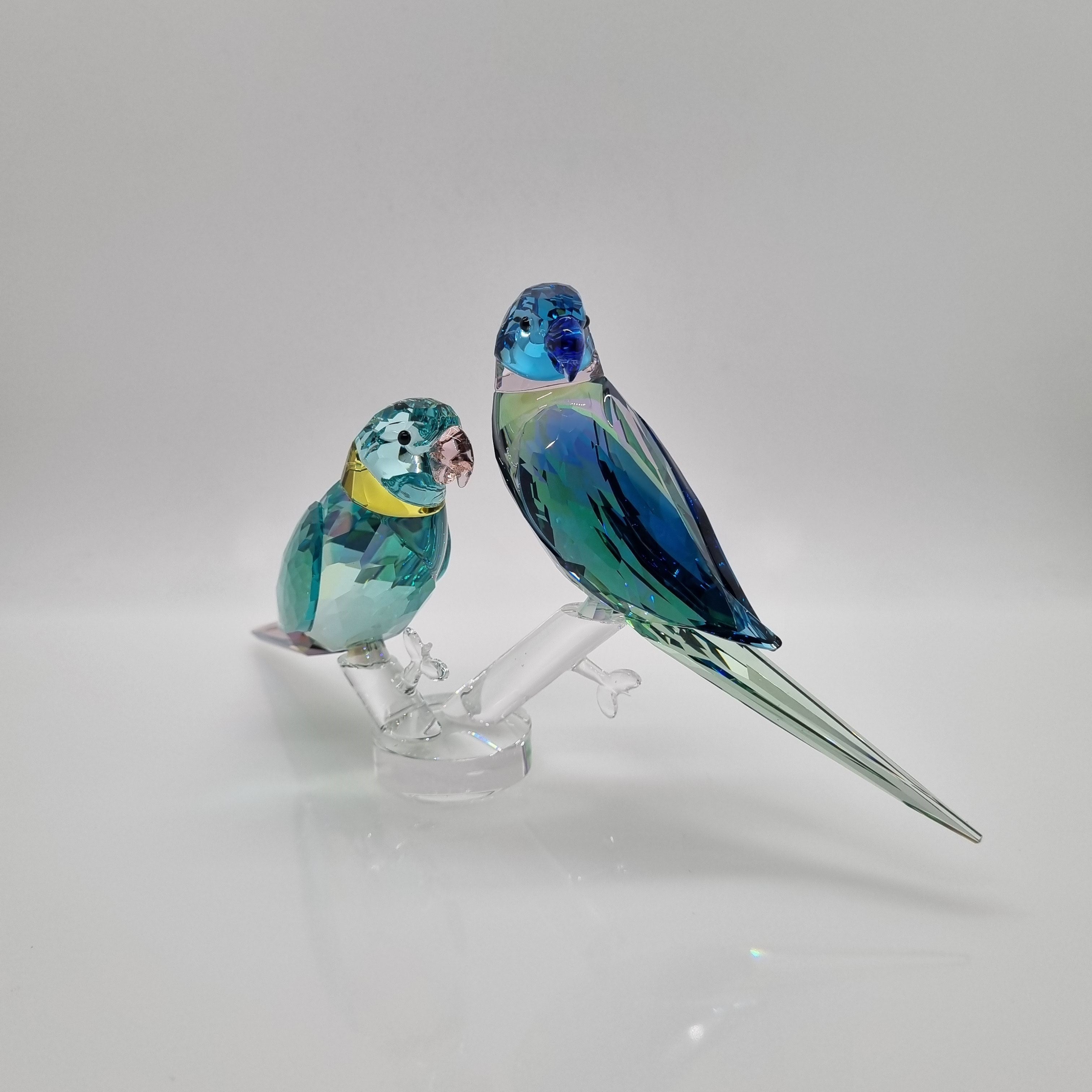 SWAROVSKI Jungle Beats Fife & Fifer Sittiche 5577124