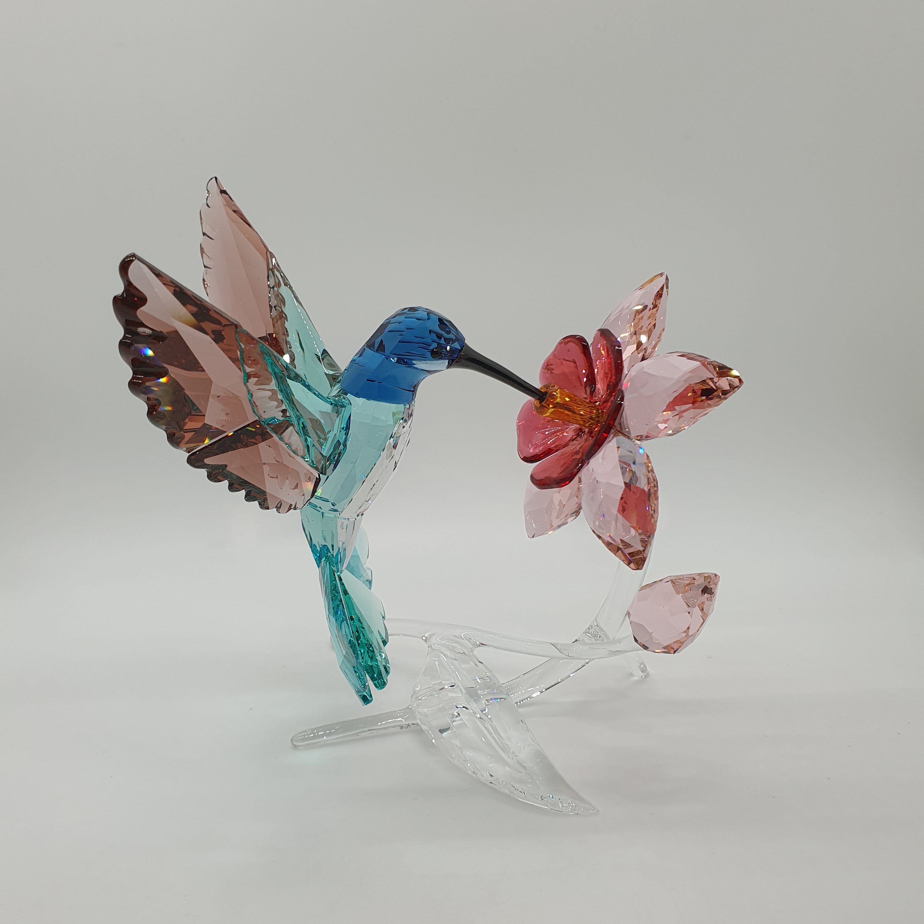 SWAROVSKI Kolibri Paradise Bird 5461872 5728071