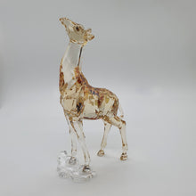 Lade das Bild in den Galerie-Viewer, SWAROVSKI SCS Jahresfigur 2018 Mudiwa Giraffenbaby 5302151
