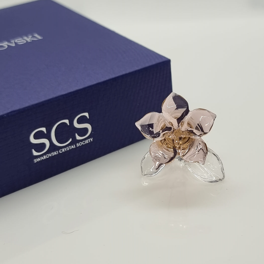 SWAROVSKI SCS Wüstenrose 2021 Desert Rose 5557914