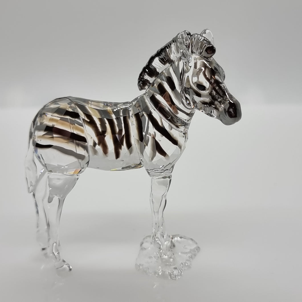 SWAROVSKI SCS Zebra Baby Zuri zur Jahresfigur Amai 2021